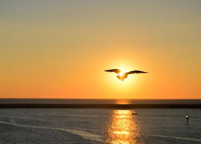 Ap Ultraspatios - Nazli - 4 Vis-a-vis Lidl アパート