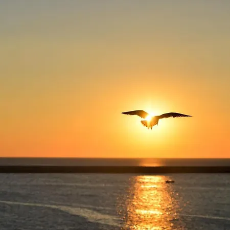 Ap Ultraspatios - Nazli - 4 Vis-a-vis Lidl Apartment